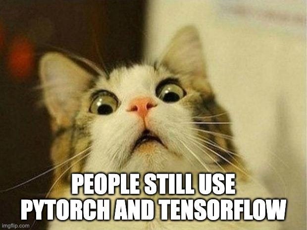 Scared Cat Meme | PEOPLE STILL USE PYTORCH AND TENSORFLOW | image tagged in memes,scared cat | made w/ Imgflip meme maker