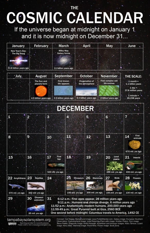 Cosmic Calendar