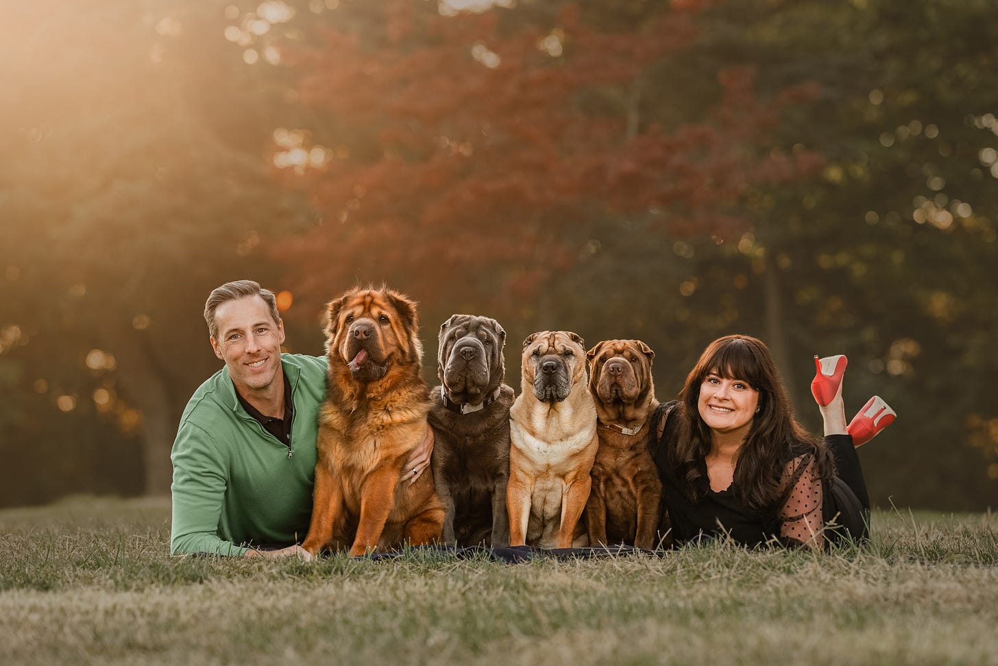 A man with a green long-sleeved shirt lies on his stomach in a field of grass while a woman in black with red high heeled shoes also lies on her stomach near him. Between the two are 4 Shar Pei dogs of varying sizes and colors