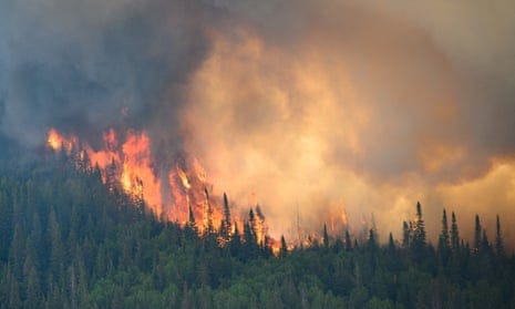 Flames reach upwards along the edge of a wildfire near Mistissini, Quebec, Canada, on 12 June 2023.