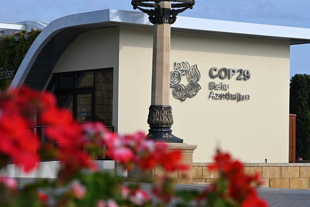 A lamp post in front of a building with flowers in front of it