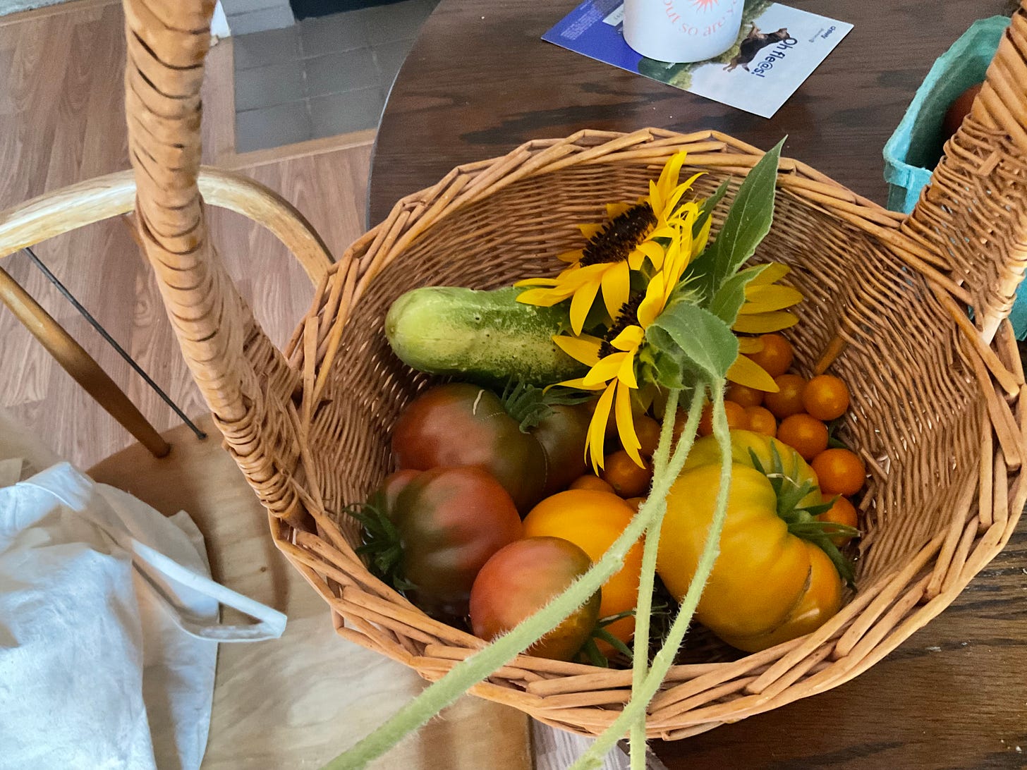 A wicker basket holds a cucumber, some various colors and sizes of tomato’s, and two sunflowers