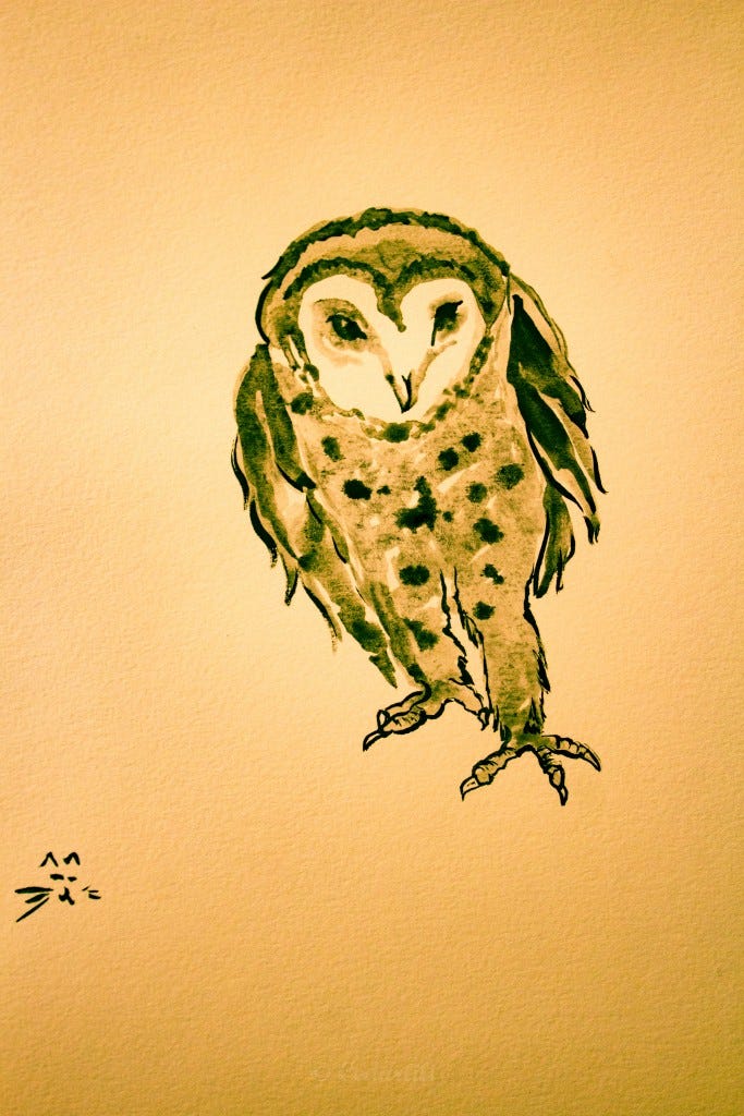 Sumie ink barn owl 