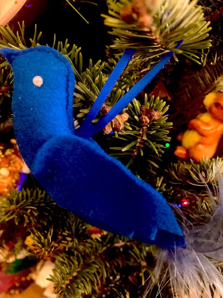 The bowerbird at Christmas, hanging in a pine tree with lights and baubles.