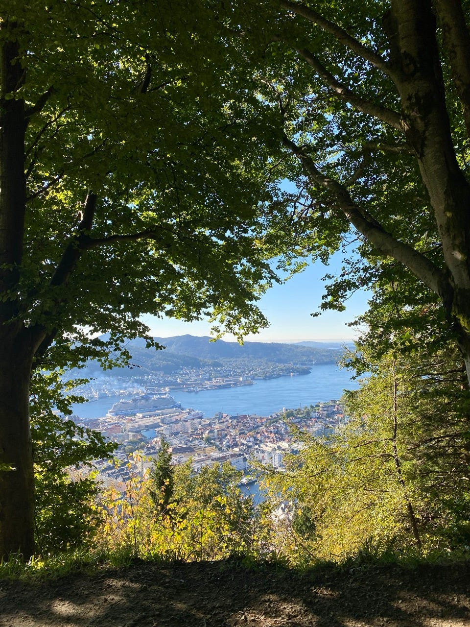 The city of Bergen, Norway, as seen through the woods from a lookout point on the hiking trail.