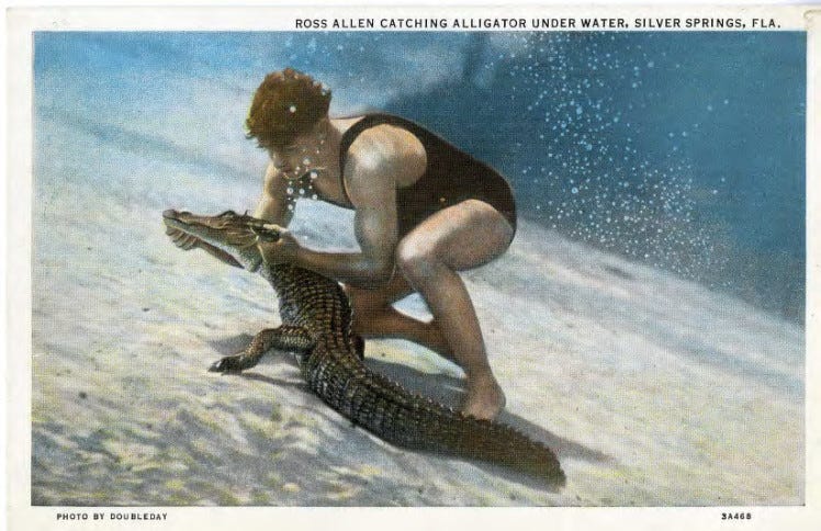 The Circus "NO SPIN ZONE": Vintage Florida Alligator Farm--Ross Allen