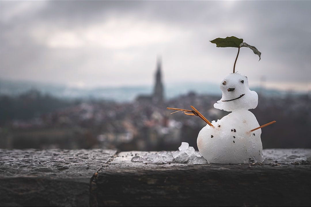 white snowman with green leaf on top white snowman with green leaf on top