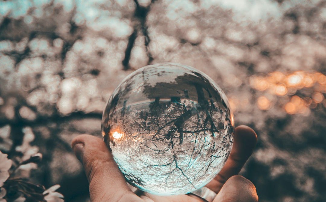 person holding round glass ball