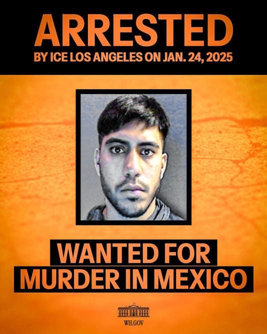 An unnamed Mexican national wanted for murder in Mexico was arrested by ICE Los Angeles on Jan. 24.. White House