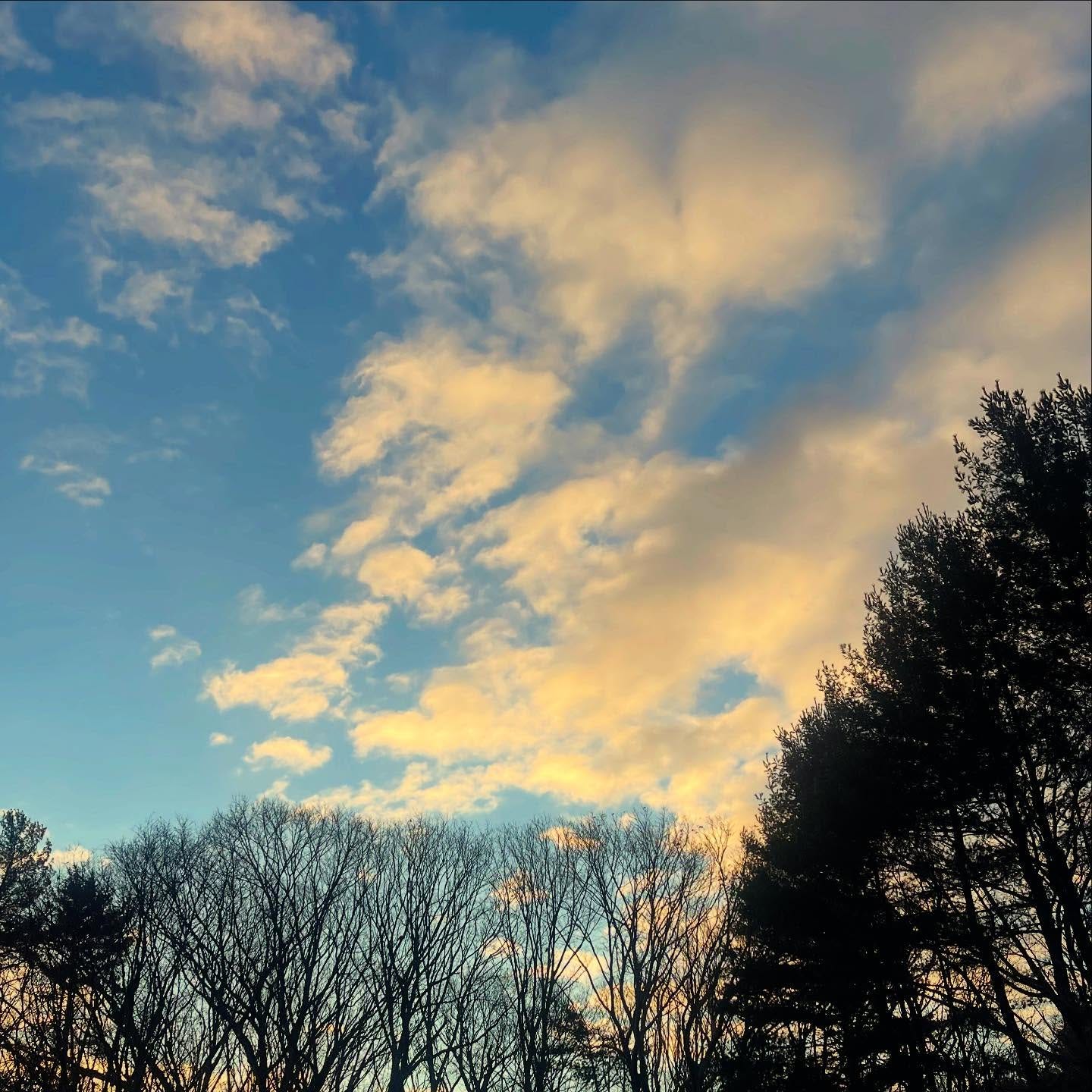 Photo by Deborah Farmer Kris on January 03, 2025. May be an image of nature, cloud, tree, twilight and text.