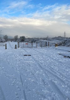 A snow-covered field. There's a gate, and then a huge white expanse. There are snow-covered trees in the background. The sky is blue and bright.