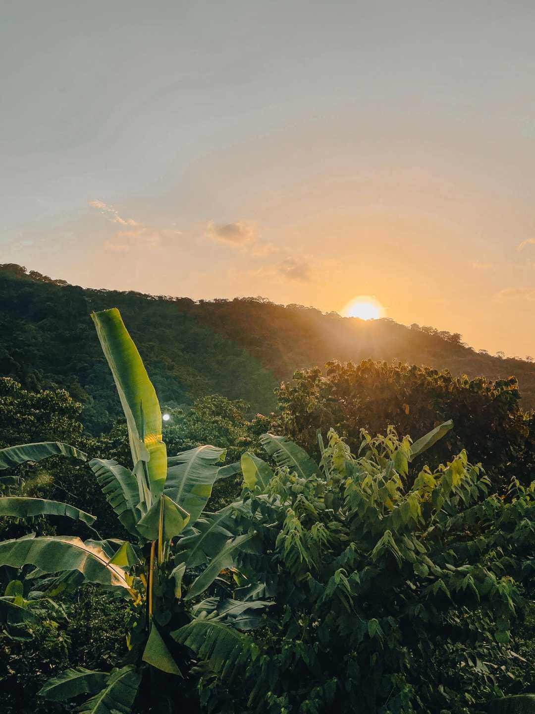 Atardecer en Minca Magdalena