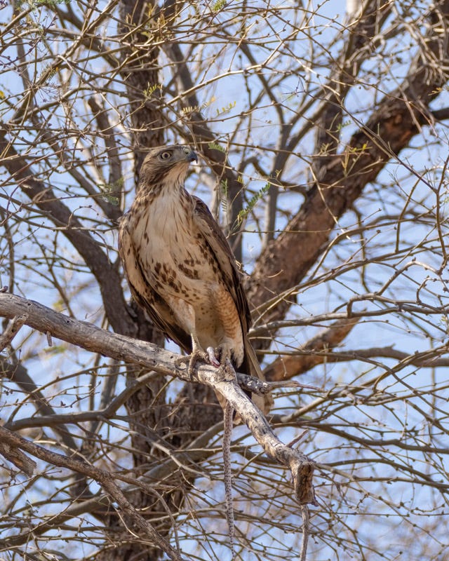 20250219-ManvilleFarm-19-Edit.jpg