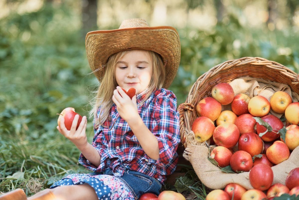 Girl eating an apple picked from a large quantity