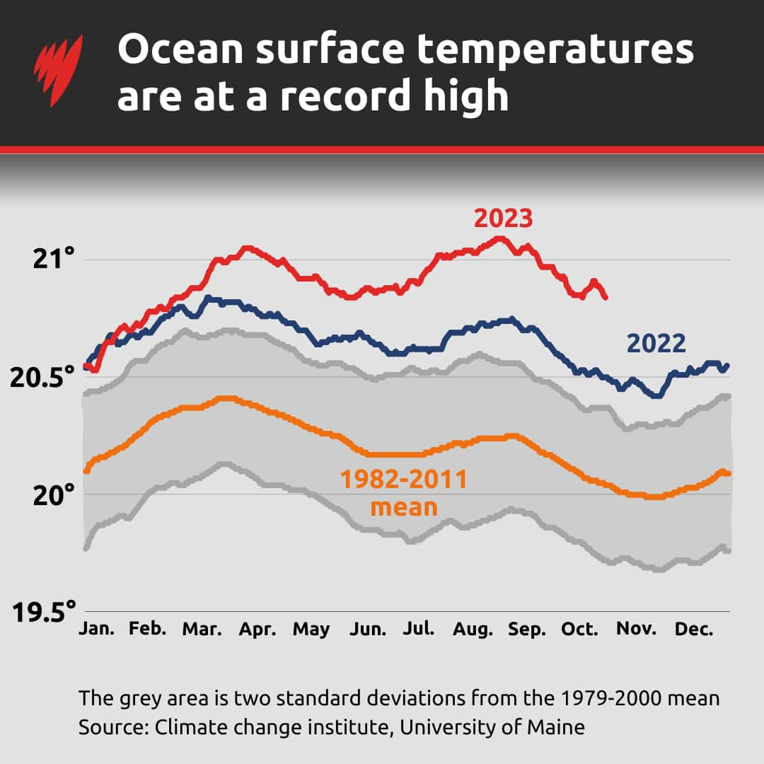 A chart showing the rise in global ocean surface temperatures