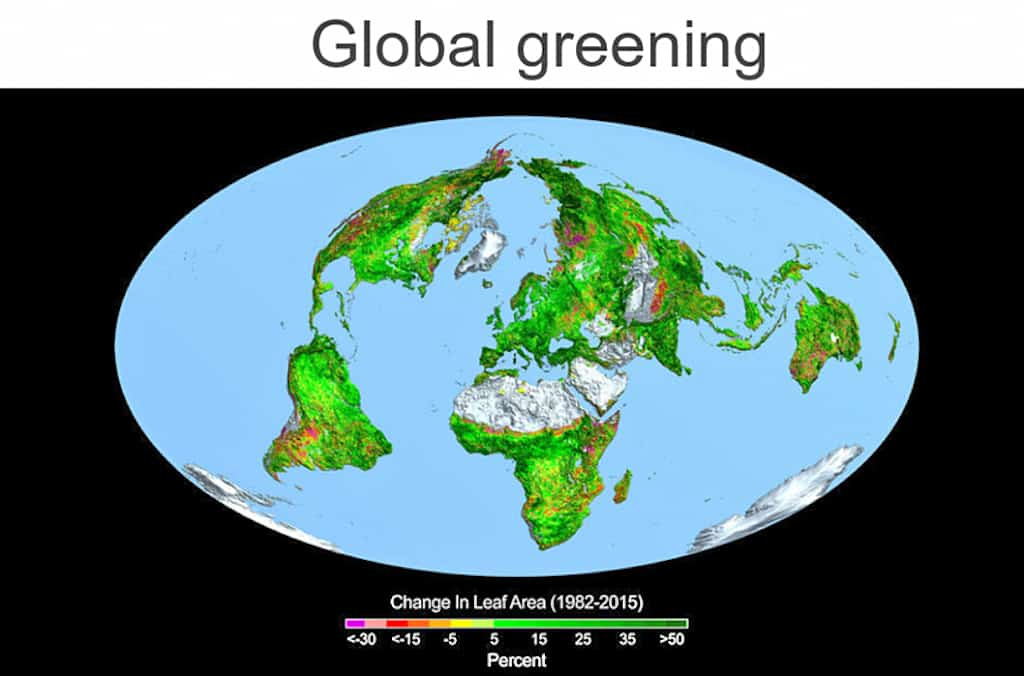 global-greening-copy