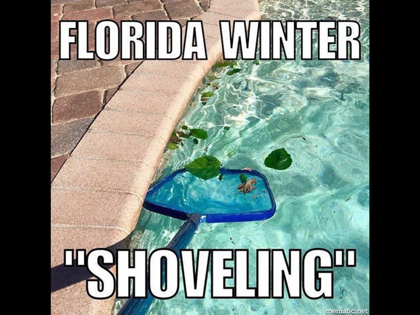 Pin by Kelly Day on HUMOR | Florida, Florida weather, Florida funny