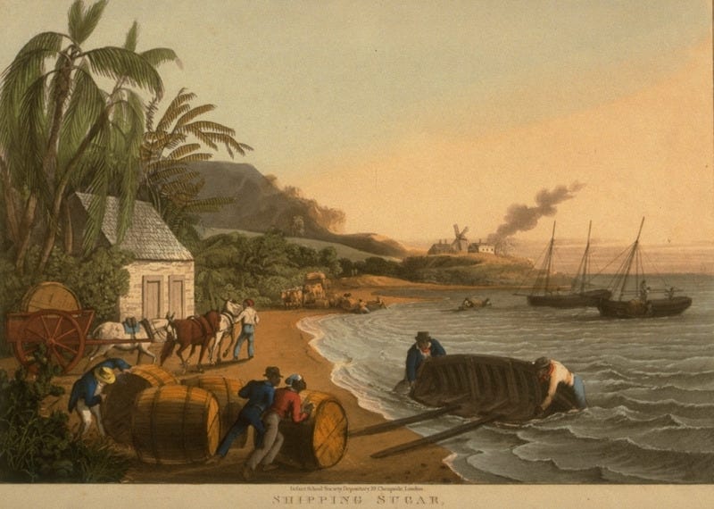 Caption, Shipping Sugar, Willoughby Bay; shows slaves rolling hogsheads of sugar, brought to shore by ox carts, aboard lighters for transport to ocean- going vessels. Little is known of William Clark although he was probably a manager or overseer of plantations in Antigua. The ten prints in the collection (only 9 of which are shown on this website) are based on his drawings, converted into prints by professional printmakers. All of the prints are shown and extensively described in T. Barringer, G. Forrester, and B. Martinez-Ruiz, Art and Emancipation in Jamaica: Isaac Mendes Belisario and his Worlds (New Haven : Yale Center for British Art in association with Yale University Press, 2007), pp. 318-321; the descriptions in the Yale publication are based on Clark's unpaginated text and quotations from that text. Caption, Shipping Sugar, Willoughby Bay; shows slaves rolling hogsheads of sugar, brought to shore by ox carts, aboard lighters for transport to ocean- going vessels. Little is known of William Clark although he was probably a manager or overseer of plantations in Antigua. The ten prints in the collection (only 9 of which are shown on this website) are based on his drawings, converted into prints by professional printmakers. All of the prints are shown and extensively described in T. Barringer, G. Forrester, and B. Martinez-Ruiz, Art and Emancipation in Jamaica: Isaac Mendes Belisario and his Worlds (New Haven : Yale Center for British Art in association with Yale University Press, 2007), pp. 318-321; the descriptions in the Yale publication are based on Clark's unpaginated text and quotations from that text.