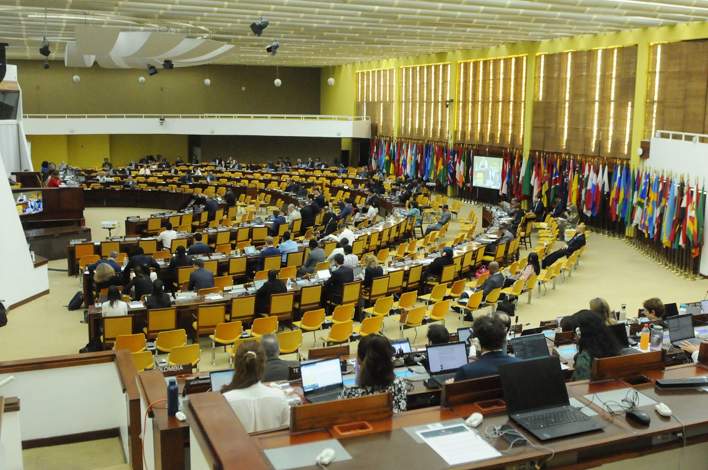 Photo of large conference room filled with people and country flags