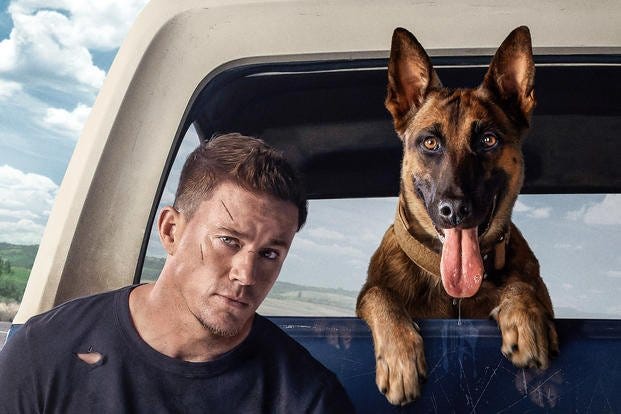 What Channing Tatum's New Movie 'Dog' Gets Right About Military Working  Canines | Military.com