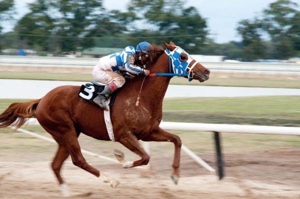 secretariat best sports movie ever made 2014 images