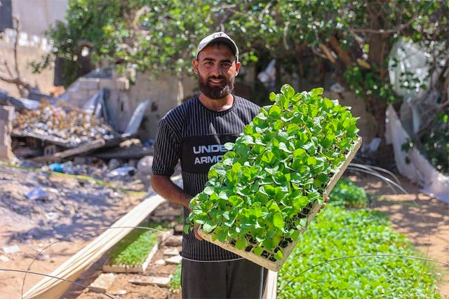 Gaza farmer vows to keep planting amid war-induced famine | Jordan Times