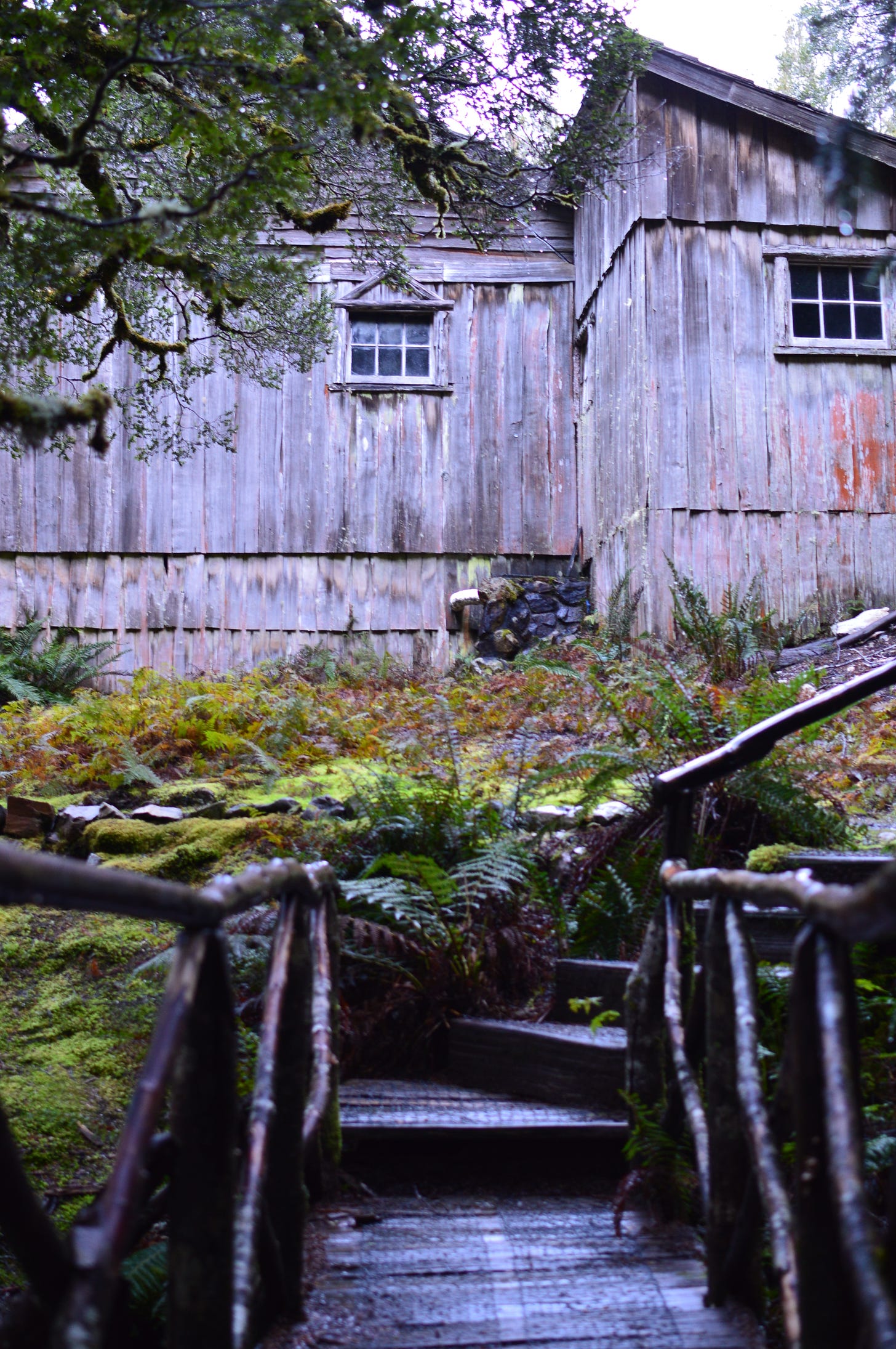 The Waldheim Chalet at Cradle Mountain in Tasmania