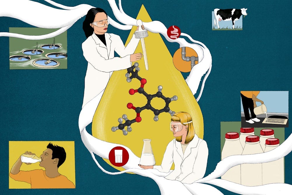 Illustration of scientists detecting forever chemicals in milk. 