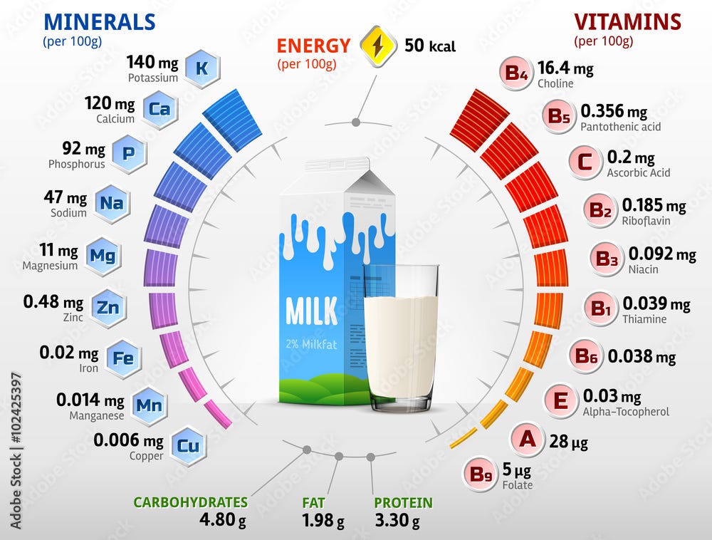 Vitamins and minerals of cow milk. Infographics about nutrients in milk with two percent fat. Qualitative vector illustration about milk, vitamins, dairy, health food, nutrients, diet, etc