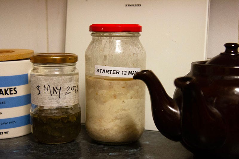 Starter and vinegar on a kitchen counter next to a two-spouted teapot.