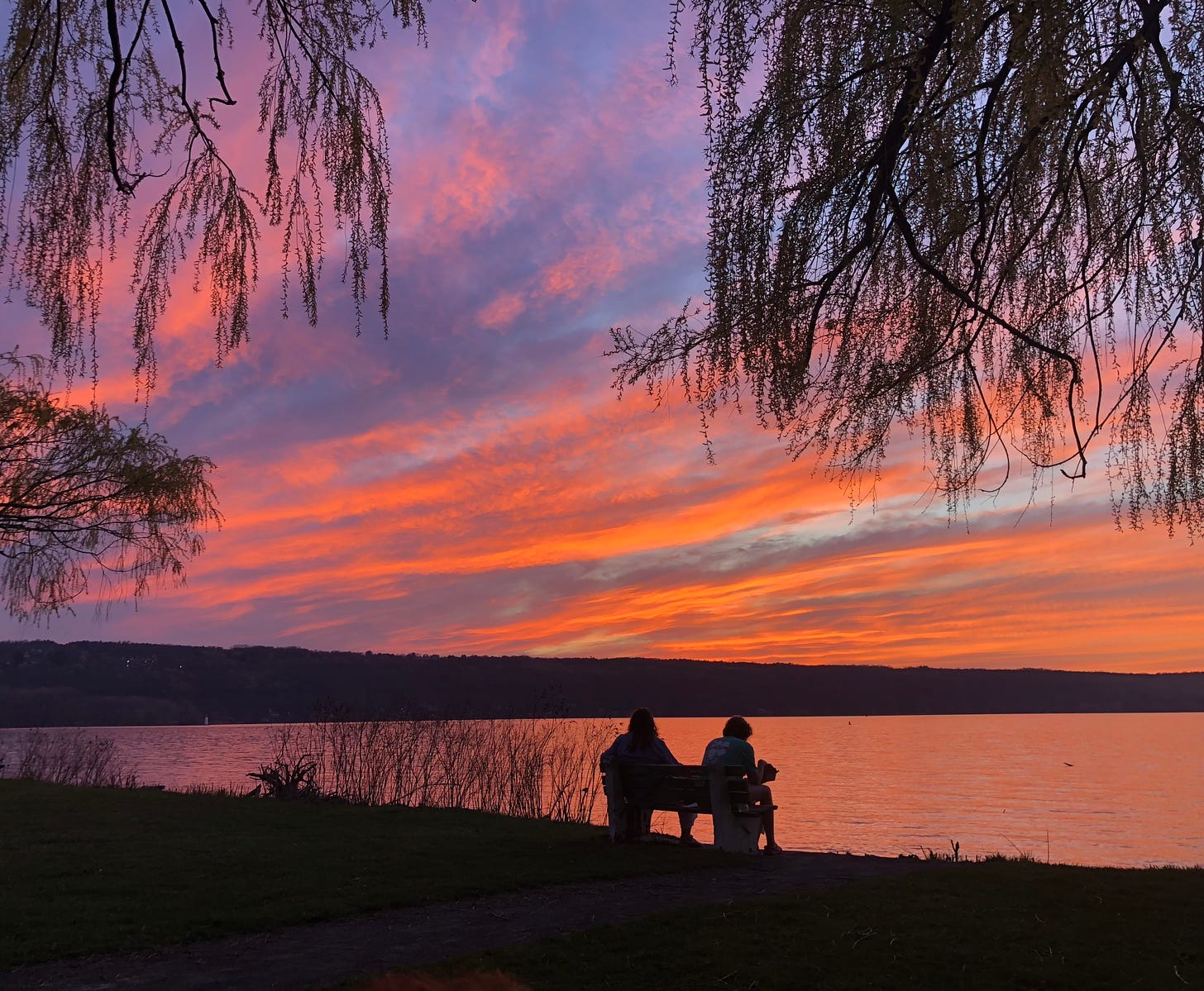 A bright orange, pink, and purple sunset over Cayuga Lake. Two people sit on a bench in the foreground and willow branches frame the sky.