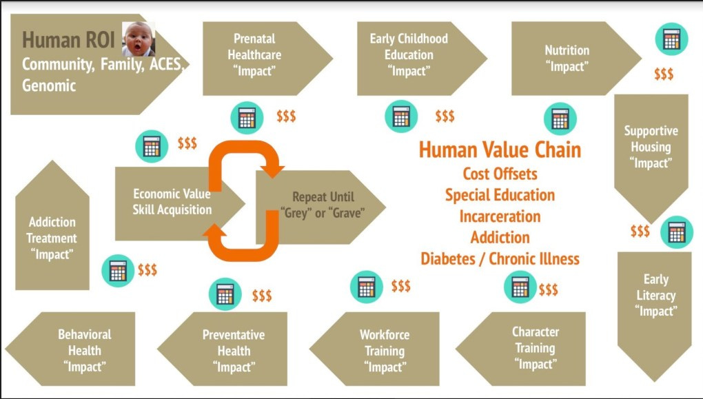 Human Capital Value Chain