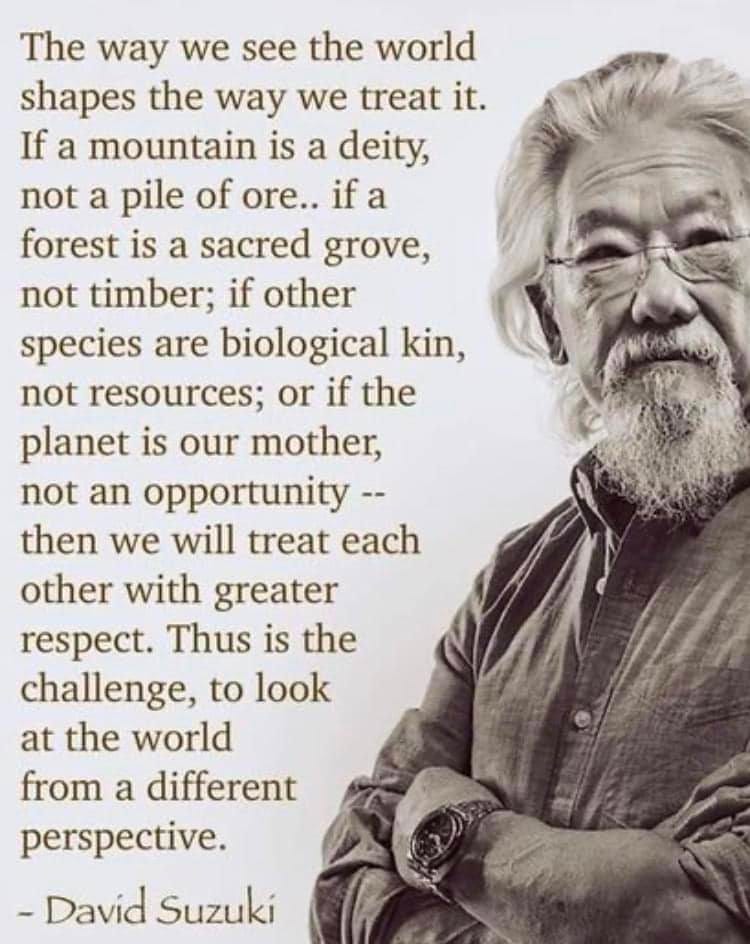 May be an image of 1 person and text that says 'The way we see the world shapes the way we treat it. If a mountain is a deity, not a pile of ore.. if a forest is a sacred grove, not timber; if other species are biological kin, not resources; or if the planet is our mother, not an opportunity-- then we will treat each other with greater respect. Thus is the challenge, to look at the world from a different perspective. -David Suzuki'