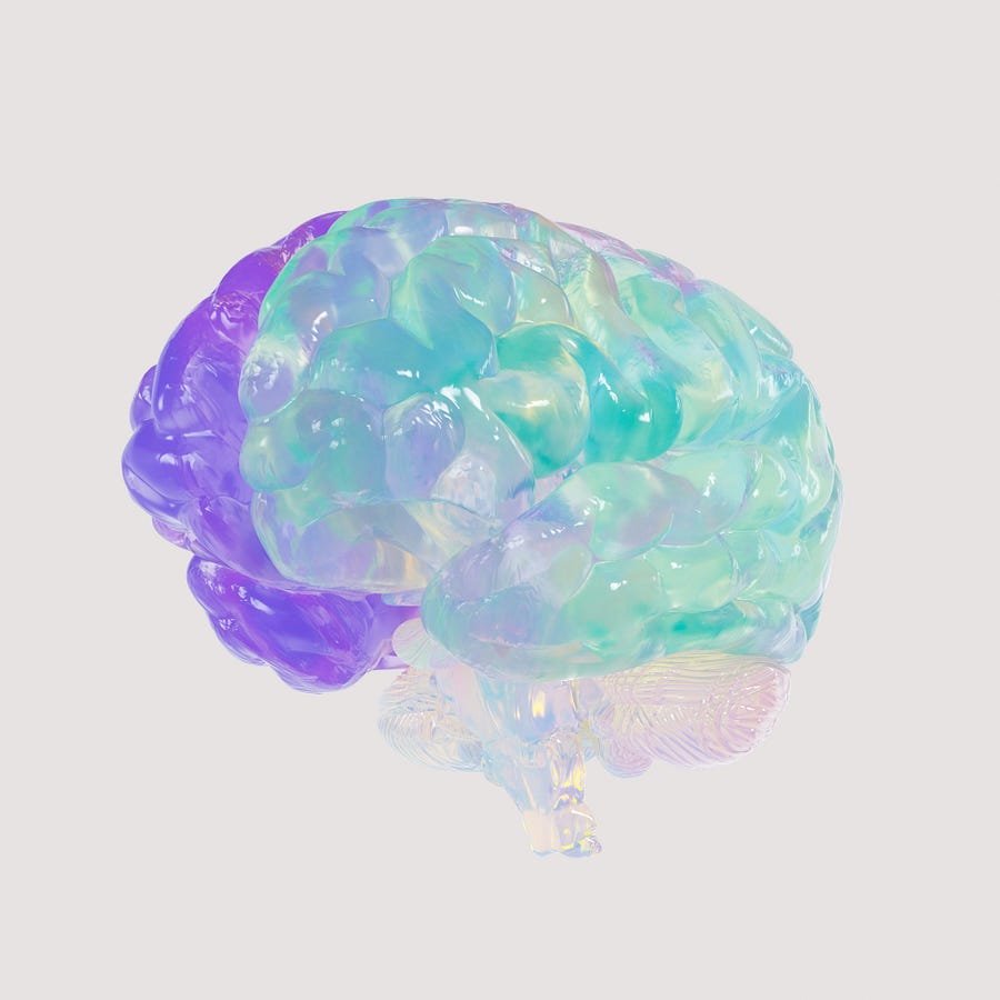 The human brain.