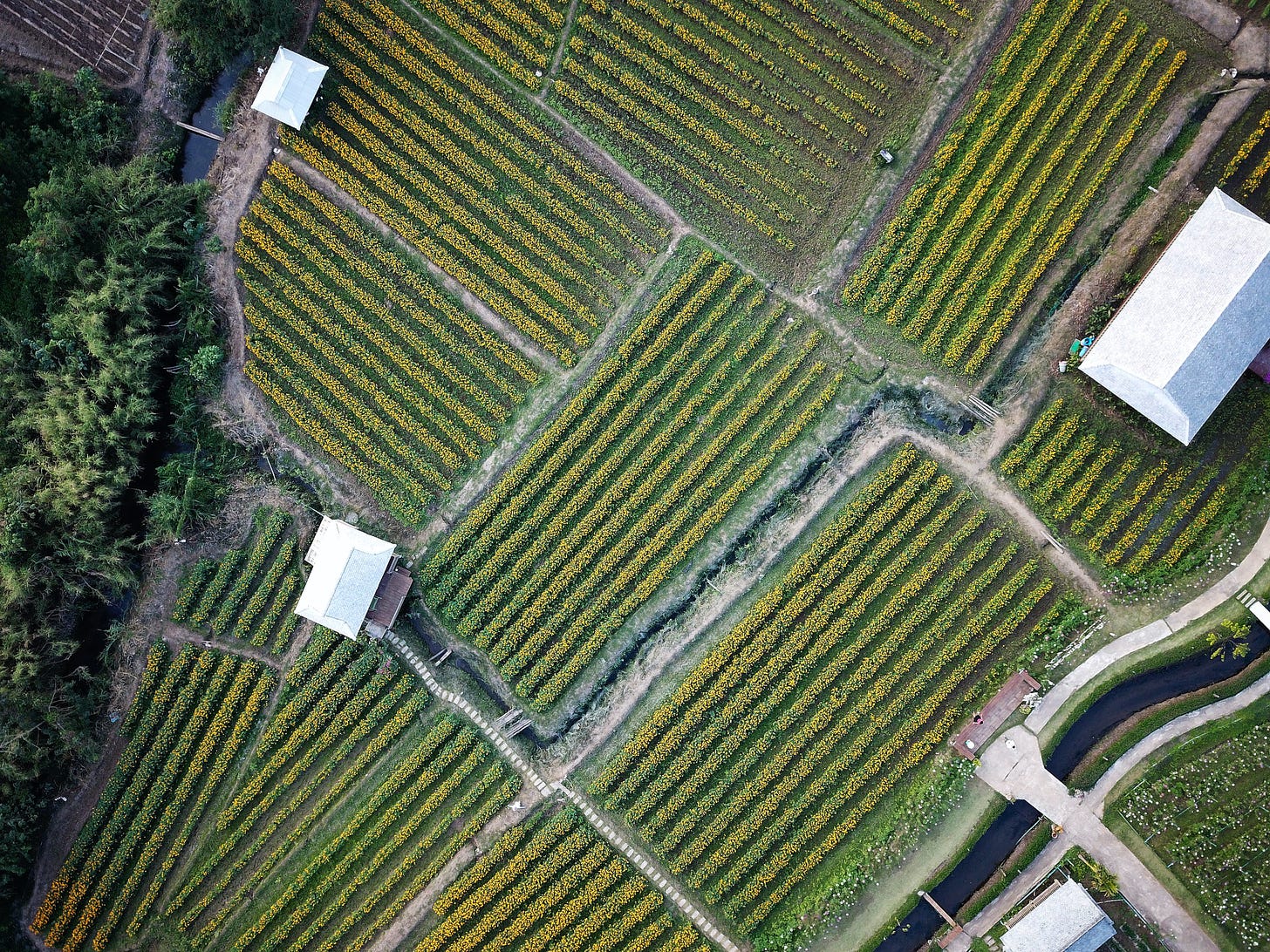 photo of fields in thailand