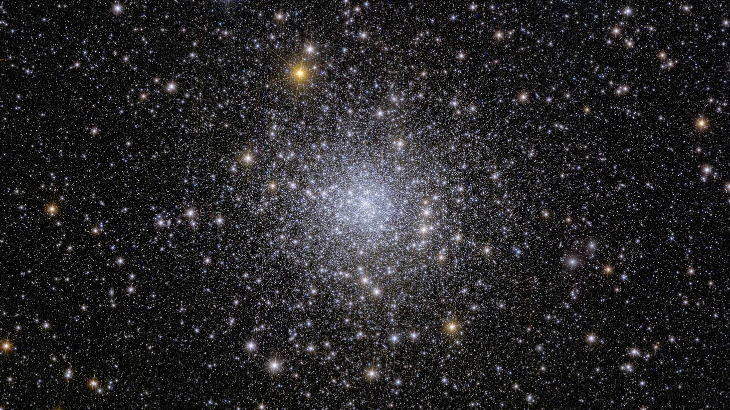 Euclid’s view of globular cluster NGC 6397