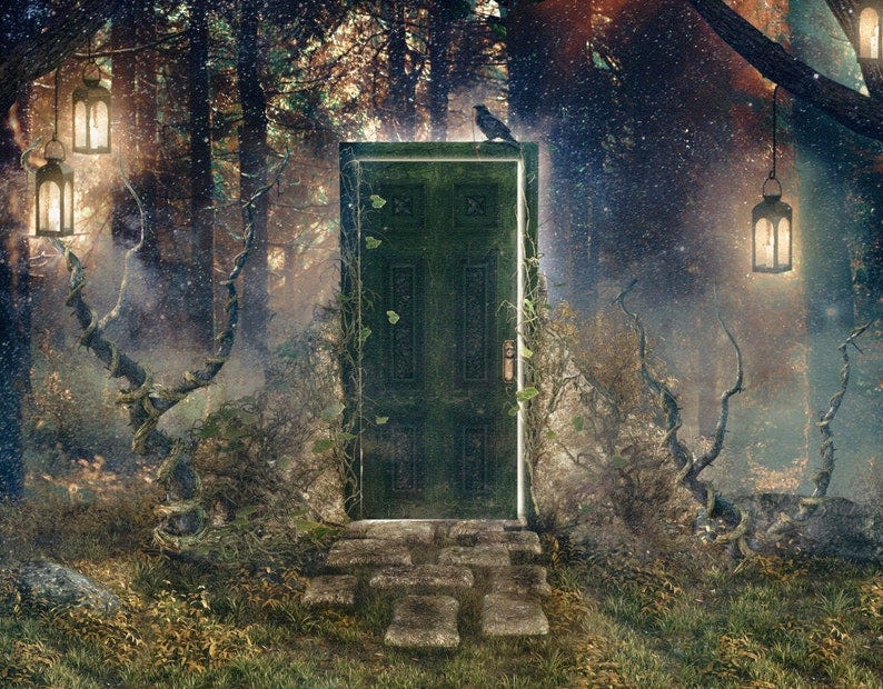 Magical Door In Forest Art Print image 1
