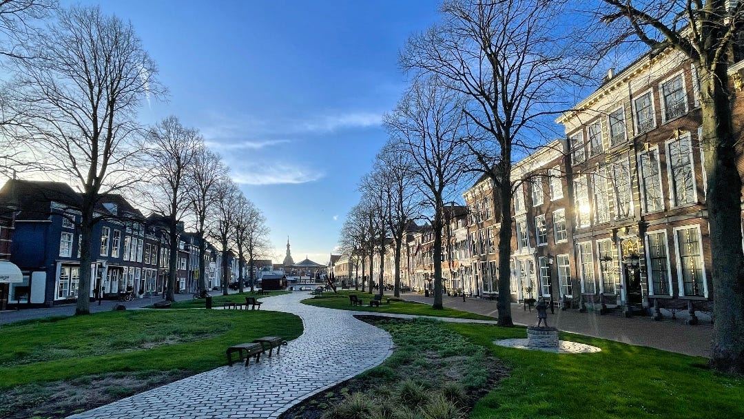 traditional old city, trees left and right of a winding path through a parklike landscape in the centre or town