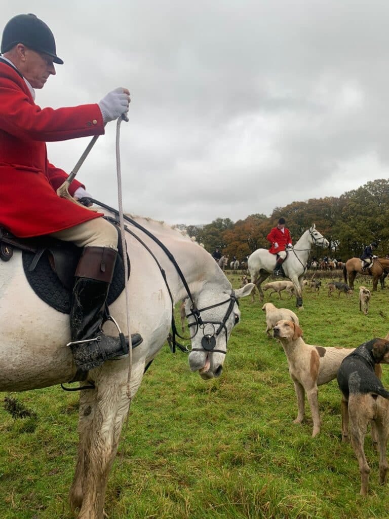 The Crawley and Horsham Hunt at Knepp, November 2023. Photo by West Sussex Hunt Sabs