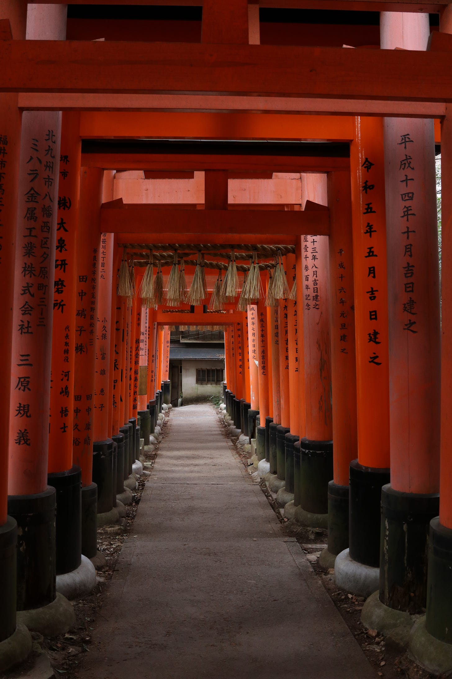 Orange wooden gates with Japanese writing line a pathway in Japan