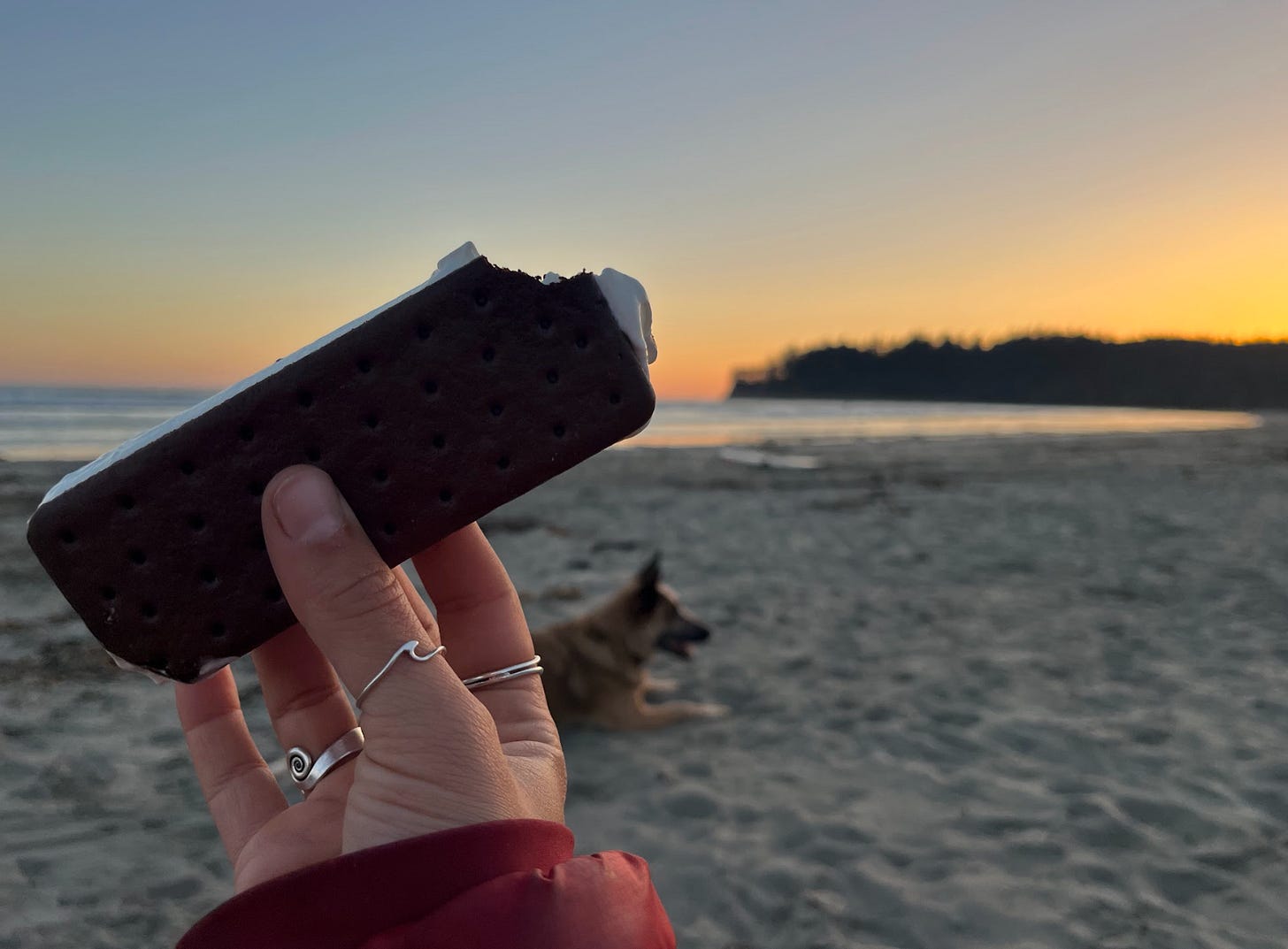 hand holding ice cream sandwich on the beach at sunset