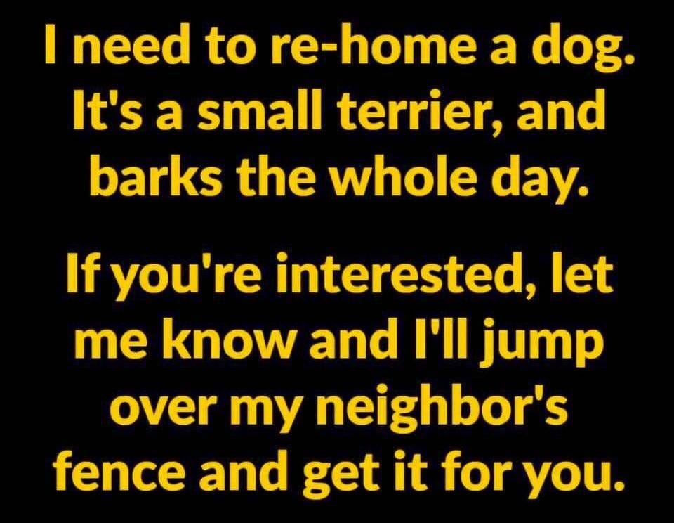 I need to re home a dog. It's a small terrier, and barks the whole day. If you're interested, let me know and I'll jump over my neighbor's fence and get it for you.