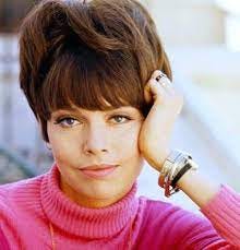 The Hair Hall of Fame: Ladies and gentlemen, Miss Barbara Feldon...