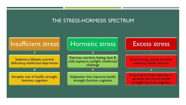 When Stress Is Good For You: The Hormesis Effect | Psychology Today Canada
