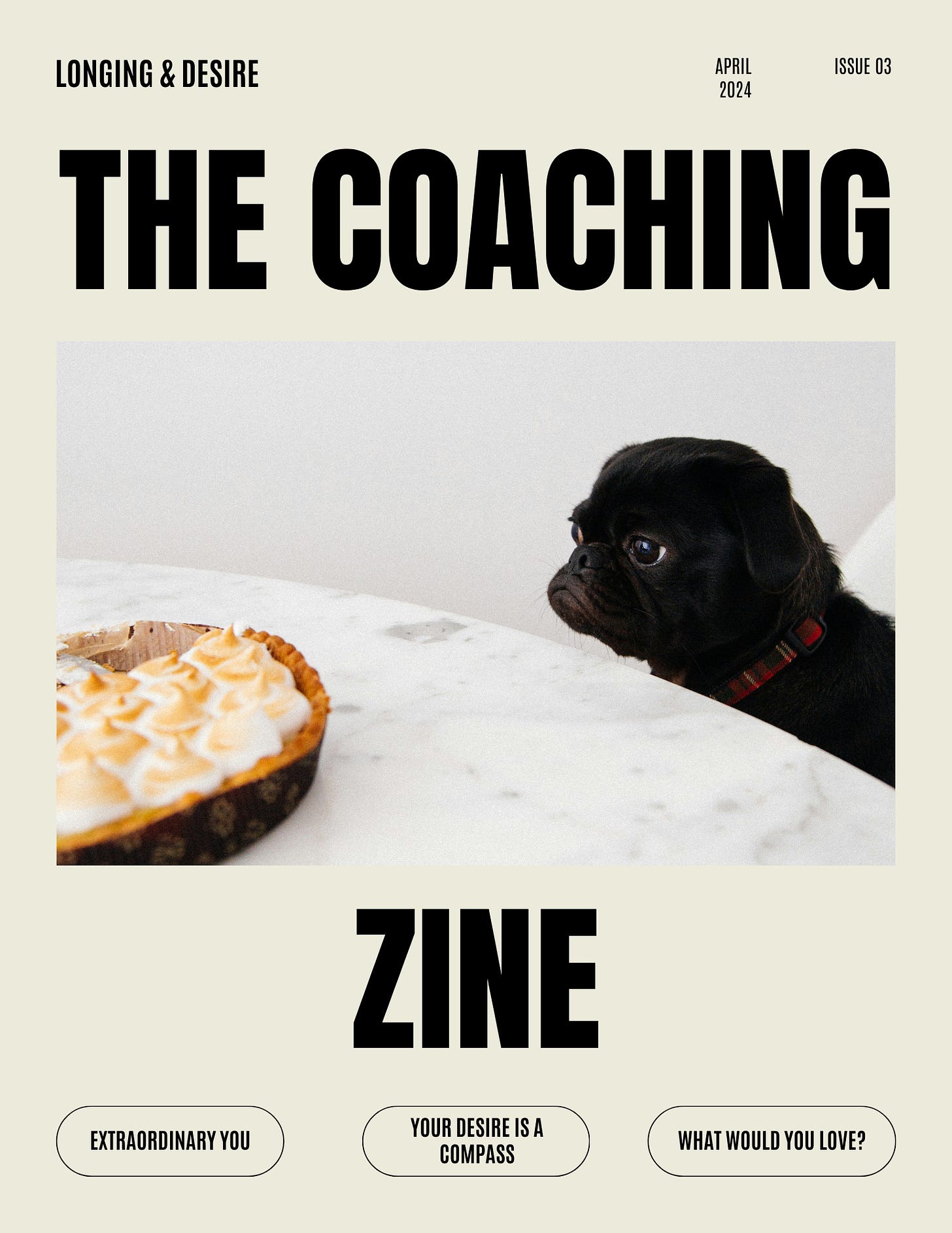 The Coaching Zine Issue 03 Longing and Desire