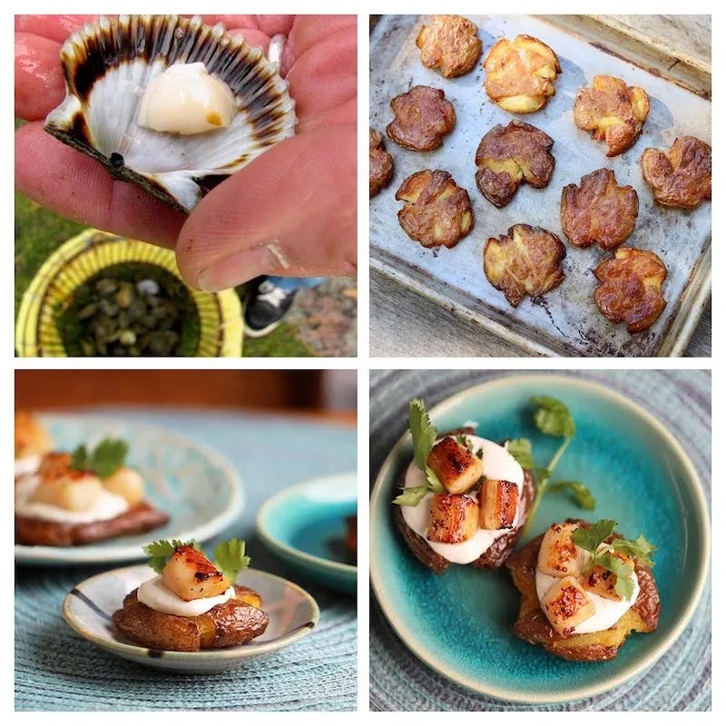 Crispy Smashed Potatoes and Bay Scallops, Cook the Vineyard.