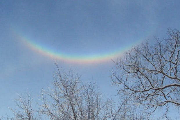upside-down rainbow above trees full of snow