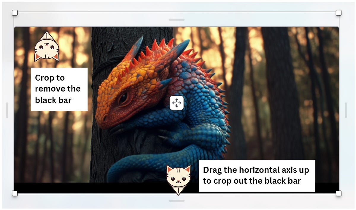 The Web Editor’s crop feature is a convenient way to clip away the unwanted black bars.