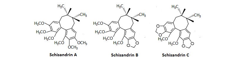 Schizandra Mechanism Lignans