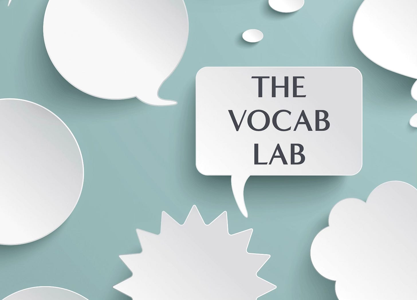 The Vocab Lab